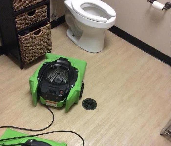 green drying equipment on the floor of a bathroom near a toilet