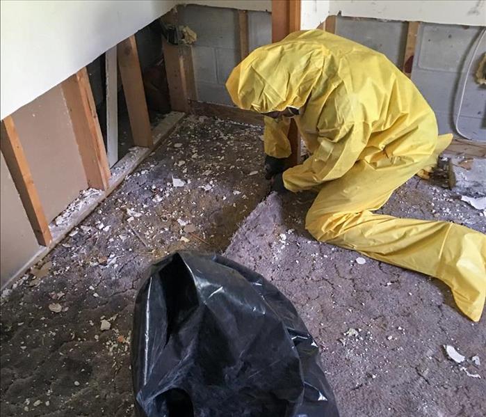SERVPRO tech in PPE removing mold from the walls of a Polk County home