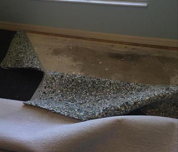 Water damage under a carpet