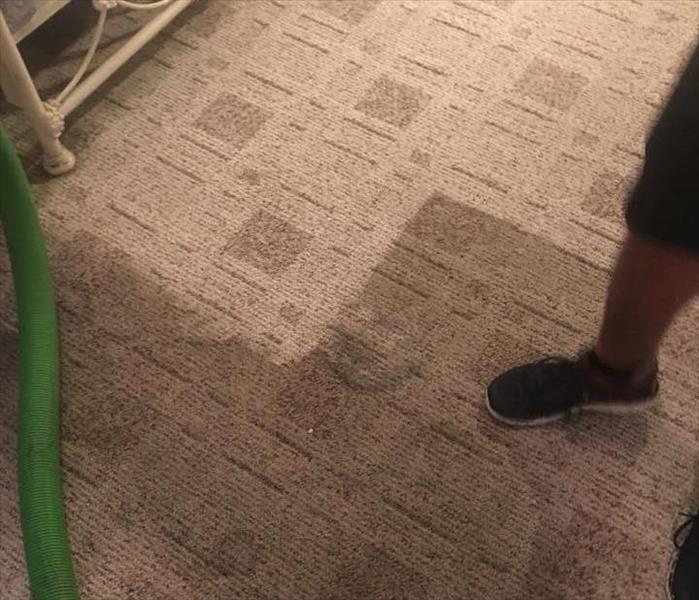Water damaged carpet