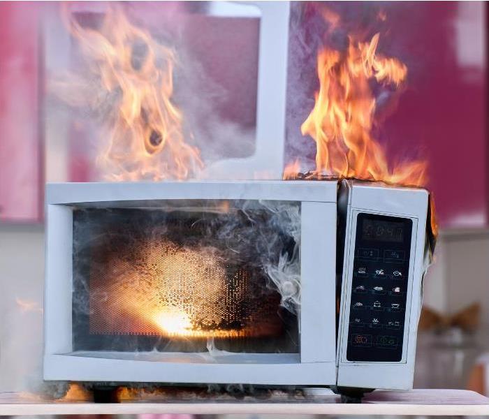 Household electrical fire in microwave oven, ignition of electrical appliance.